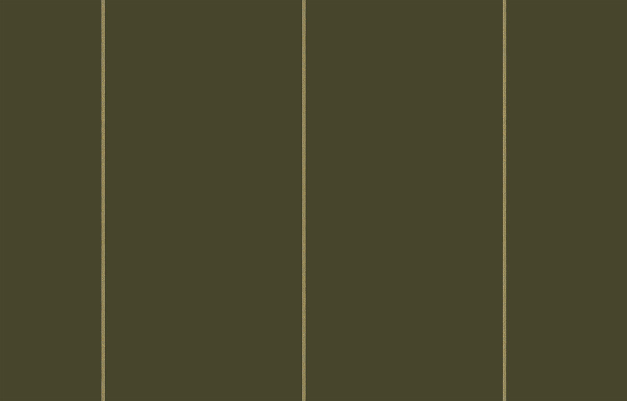 Обои Loymina Equator Lines QTR9 005 10,05×1